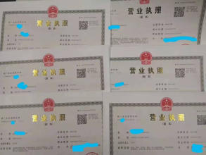 公司注冊全方位服務 個體、財務代理與內資公司注冊指南